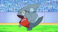 EP654 Gible confuso