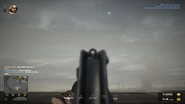 BFP4F Elite'sUSAS-12 Sights