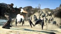Bo10.jpg