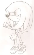 Knuckles HYRO