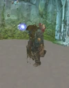 Kvaldir High-Shaman
