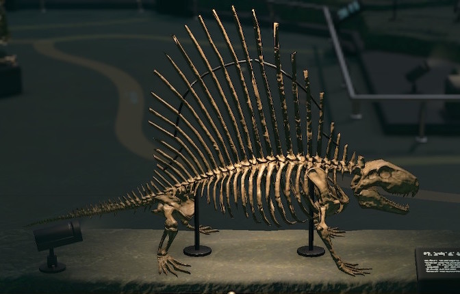 dimetrodon head