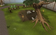 Woodcutting plot