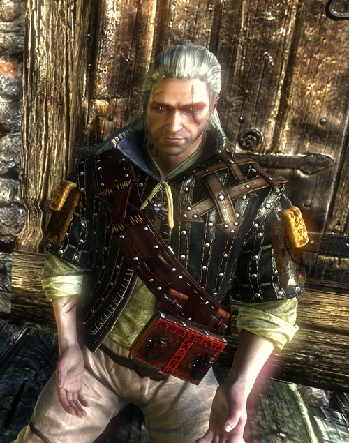 Witcher 2 Best Mods