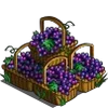 Grape Baskets-icon