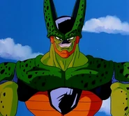 Cell semi perfecto