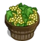 Chardonnay Bushel-icon