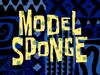 Model-Sponge