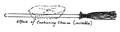 Effects of Cushioning Charm.jpg