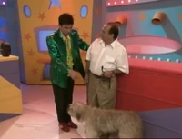 PS-PetShow01