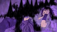 Sasuke Amaterasu