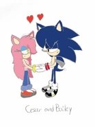 Cesailey copia