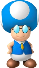 ToadbertSME