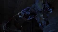 Flyer Belly