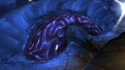 TheCerebrillum