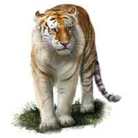 Huge item goldentabbytiger 01.png