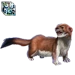 Item ermine 01 lvl5