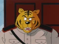 RRTigerMessenger