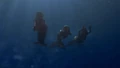 S02E07