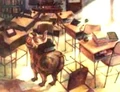 DeskIntoPig.jpg