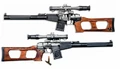 VSS IRL.jpg