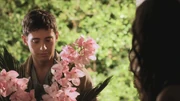 PLL208-00195