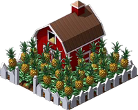 PineappleMain.png