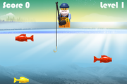 Fish Catcher Level 1