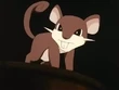 EP197 Rattata