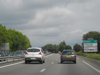 N137 (1)
