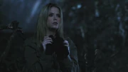 PLL110-01083