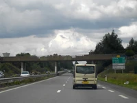 N137 (27)