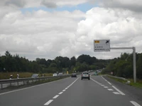 N137 (28)