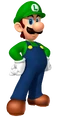LuigiMarioPartyDS