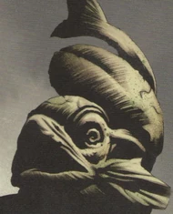 Fish