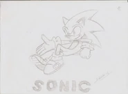 Sonic the hedgehog,2