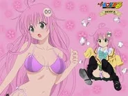 ImagesCA4OWQYT