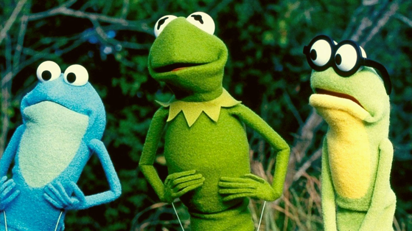 Kermit s Swamp Years movie