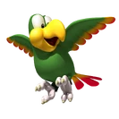 Squawks DKCR