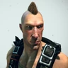The Mohawk