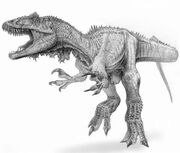FossilSmaximusWeb