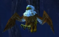 StormbeakDH