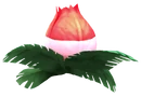 VolcanoLotus