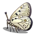 Alpine Butterfly-icon.png
