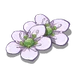 Waterfall Buttercup-icon.png
