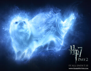 My patronus otter