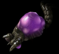 Feederling SC2 Rend1