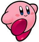 KirbyKSSUwalk