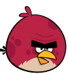 Andrewd