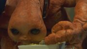 Hungry Blathereen